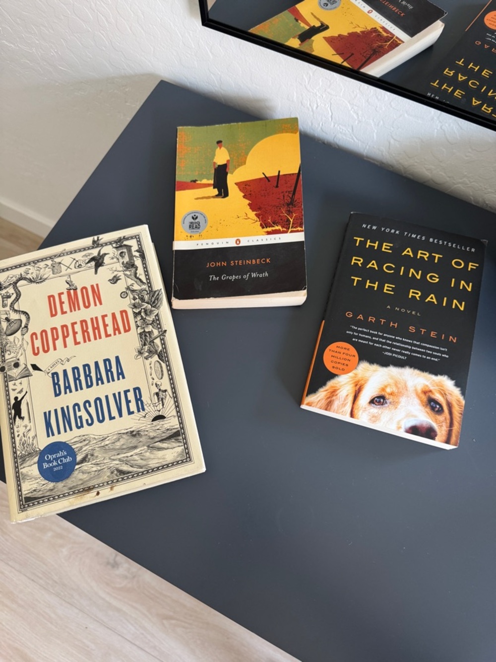 Three Books - Garth Stein, Barbara Kingsolver, John Steinbeck